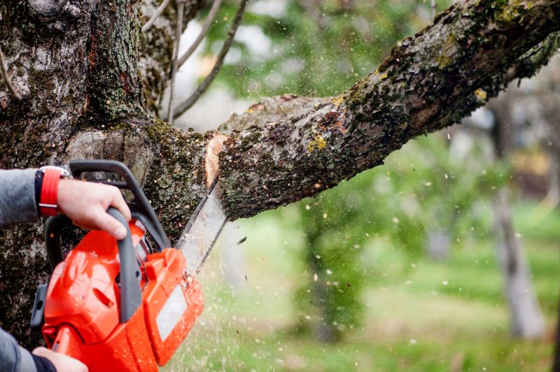 Apple Tree Removal in Doylestown, PA