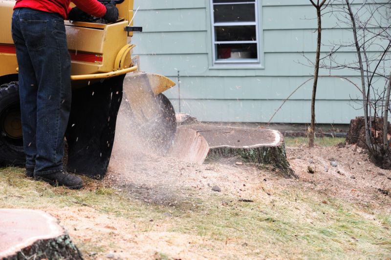 Commercial Stump Grinding in Bucks County, PA