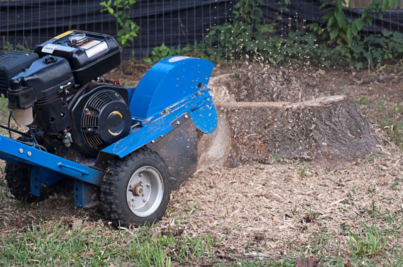 Commercial Stump Grinding in Prince Georges County, MD