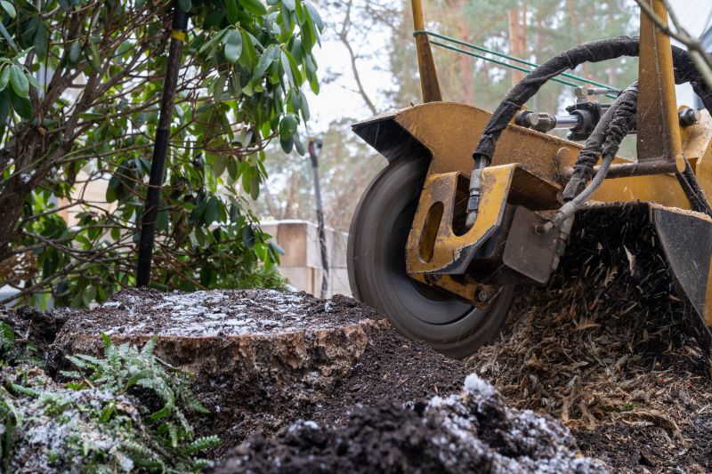 Stump Cutting in Prince Georges County, MD
