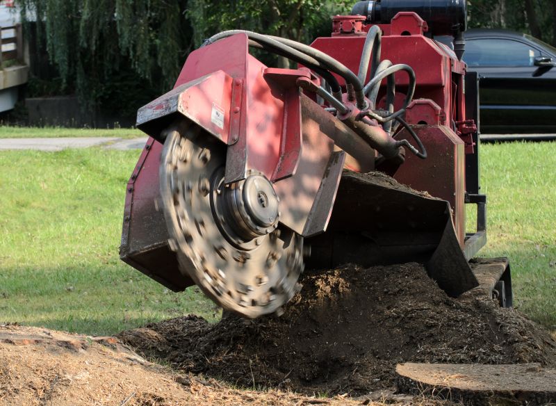 Stump Grinding Service