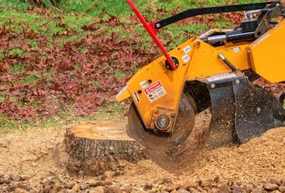 Stump Grinding Service in Aiken, SC