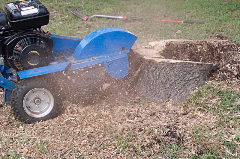 Stump Grinding Service in Prince Georges County, MD
