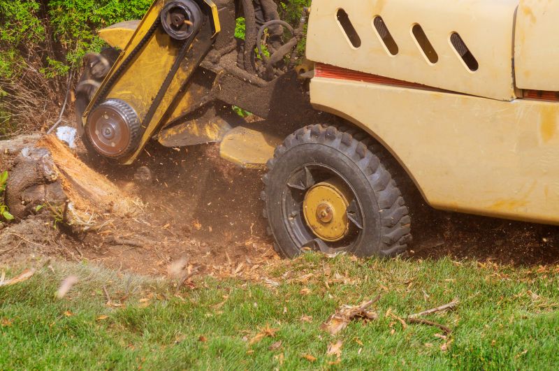 Stump Grinding Service