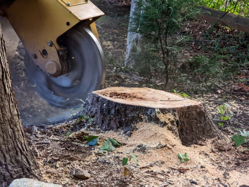 Stump Grinding Service