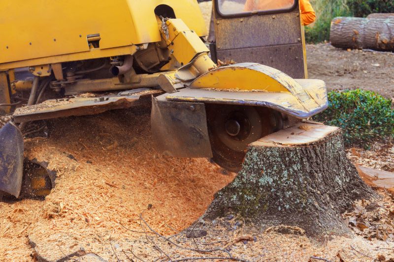 Tree Root Grinding in Prince Georges County, MD