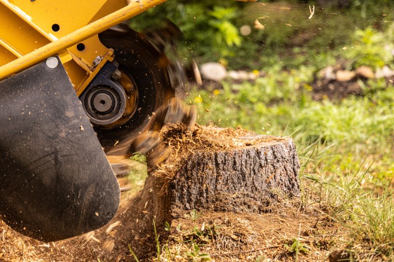 Tree Root Grinding
