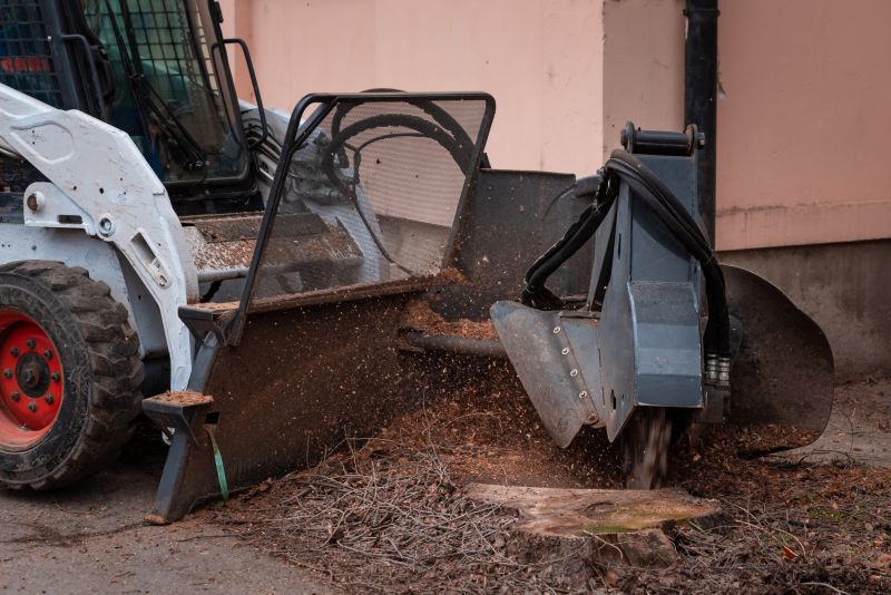 Tree Stump Removal
